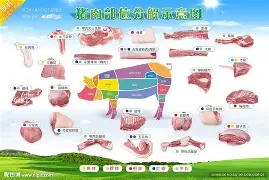 王楚钦完整赛程请查收引热议(王楚钦输球引热议)